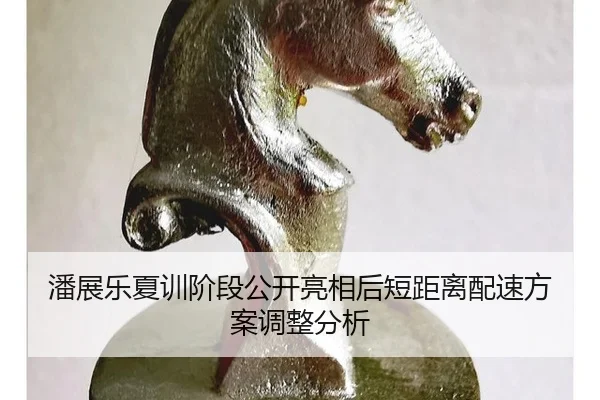 潘展乐夏训阶段公开亮相后短距离配速方案调整分析